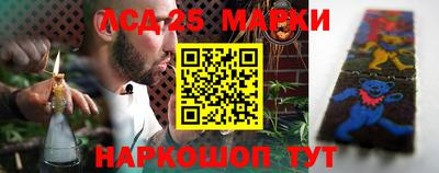 индика Тверь