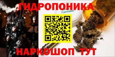 a pvp Будённовск