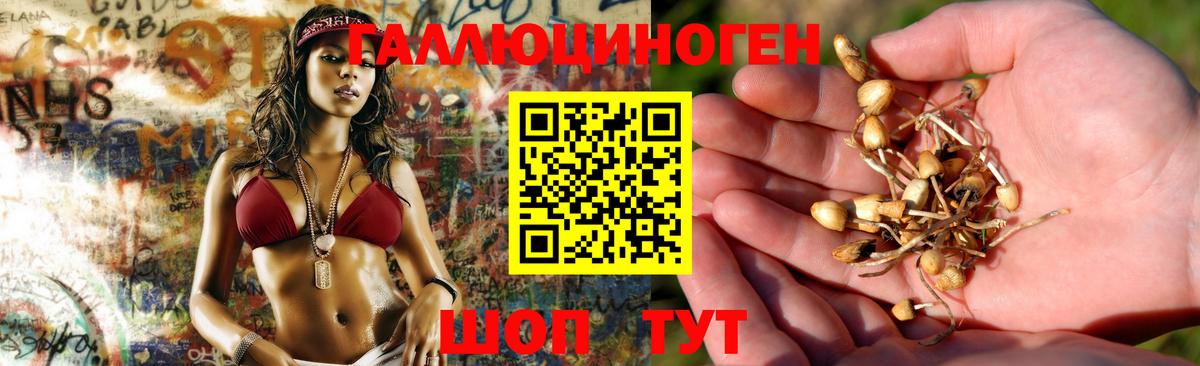 Галлюциногенные грибы MAGIC MUSHROOMS  Вход с VPN  Людиново 