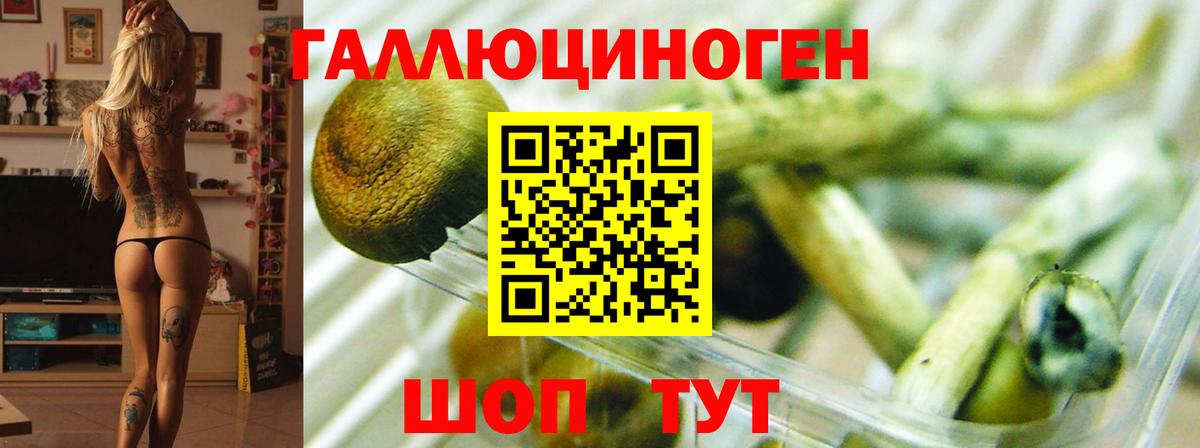 Галлюциногенные грибы мухоморы Людиново